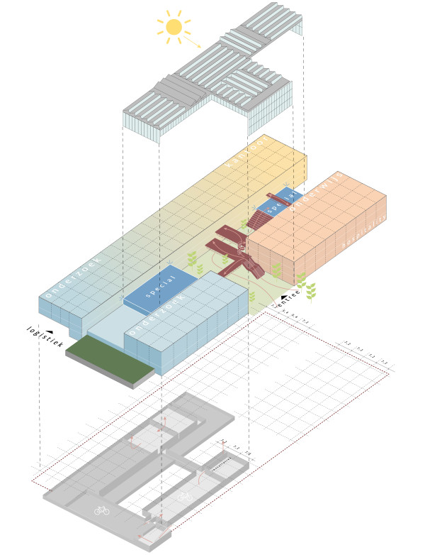 Diergeneeskunde UU - schema - DP6.jpg